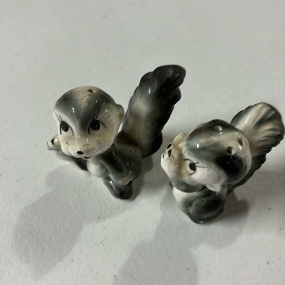 Skunk salt and pepper shakers